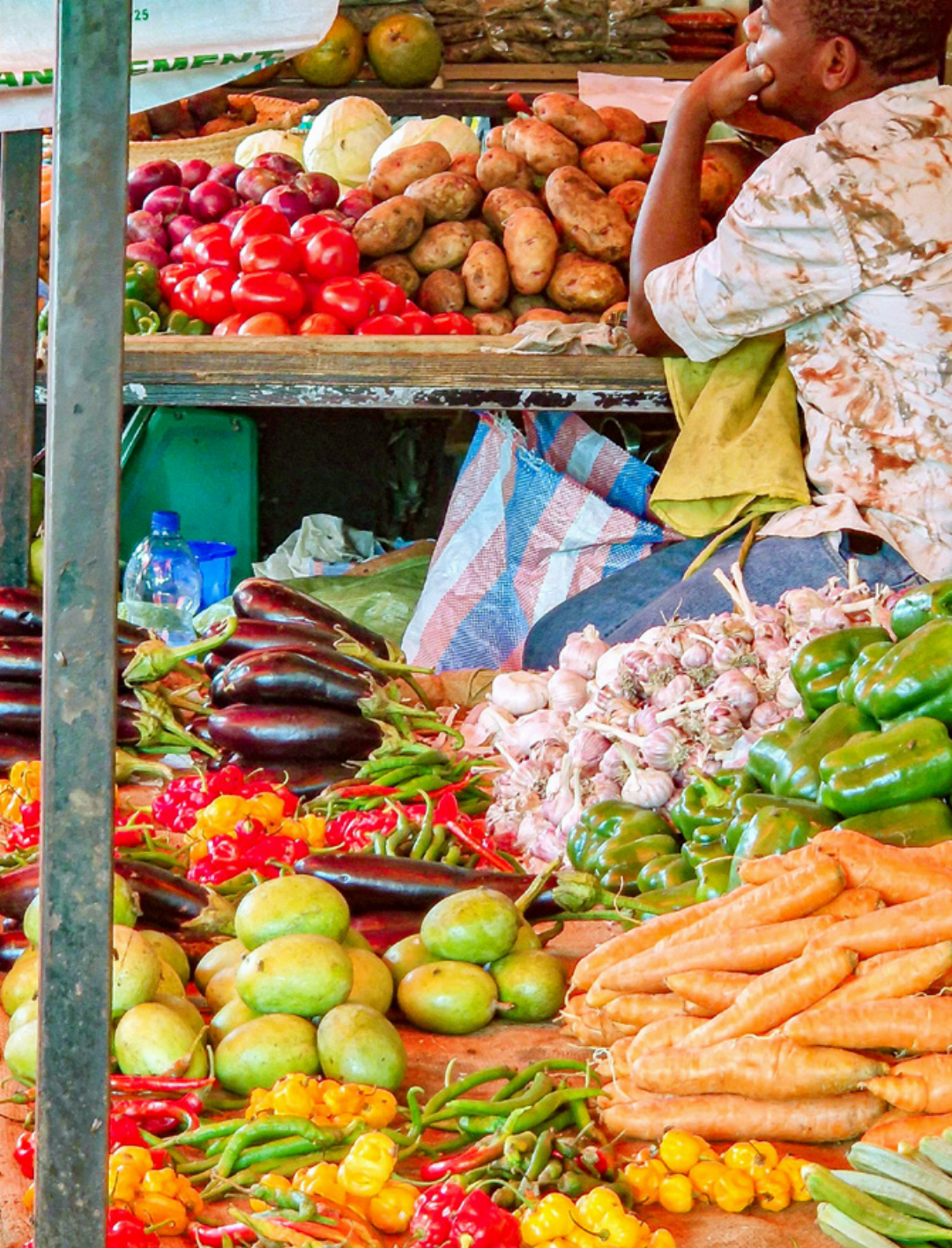 Auberginen, Mangos, Knoblauch, Peperoni, Karotten: Der Markt von Sansibar bietet eine eindrückliche Farbenpracht. Auberginen, Mangos, Knoblauch, Peperoni, Karotten: Der Markt von Sansibar bietet eine eindrückliche Farbenpracht.