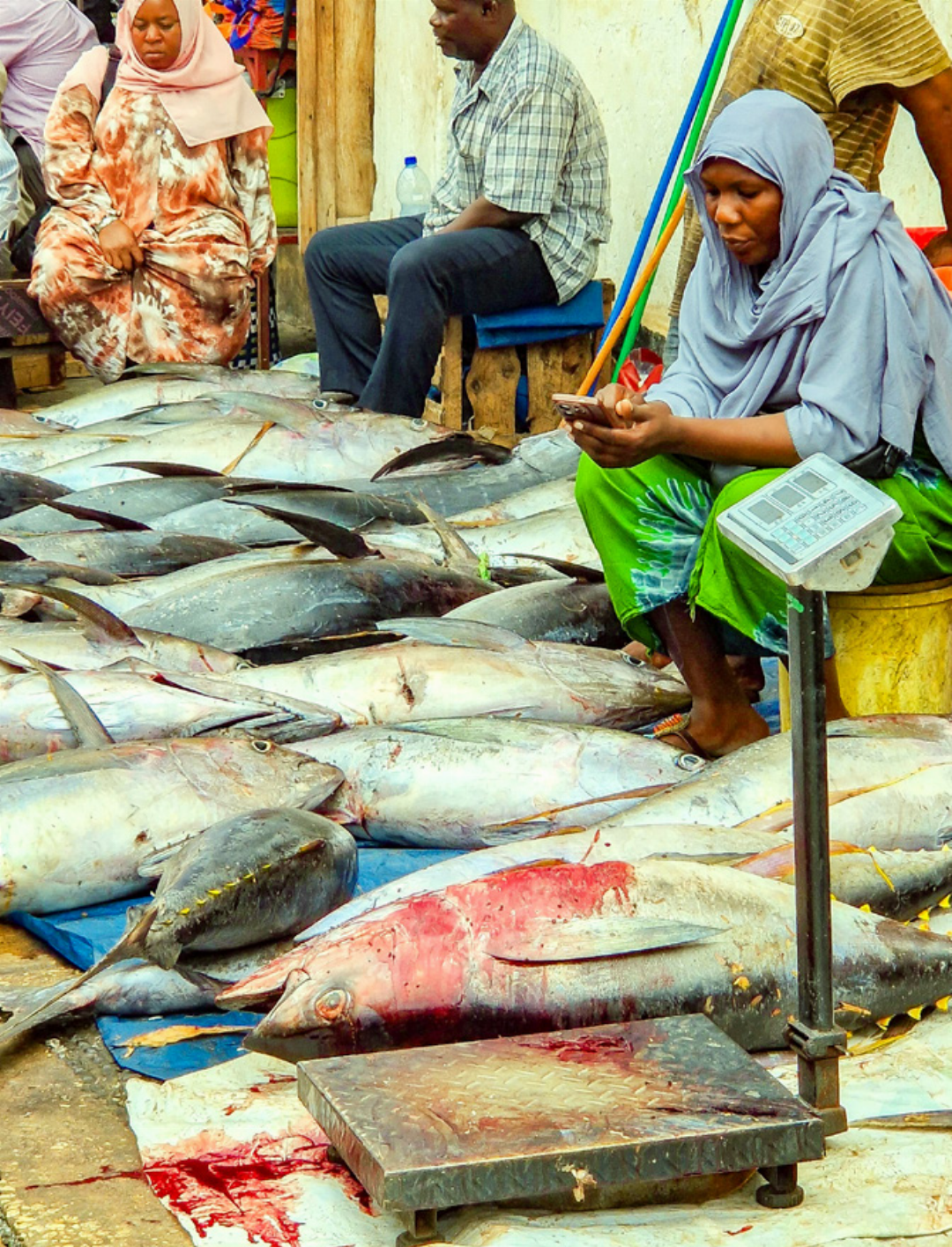 Frisch aus dem Indischen Ozean: Auf dem Fischmarkt von Sansibar werden Thunfische vom Boden aus verkauft. Frisch aus dem Indischen Ozean: Auf dem Fischmarkt von Sansibar werden Thunfische vom Boden aus verkauft.
