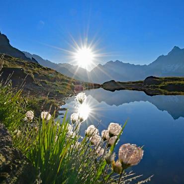 Franz Schweizer aus Bretzwil ist im Frühtau zu Berge. Im Lötschental am Mäderseelein vorbei auf 2100m.ü.M. schiesst er dieses Foto.