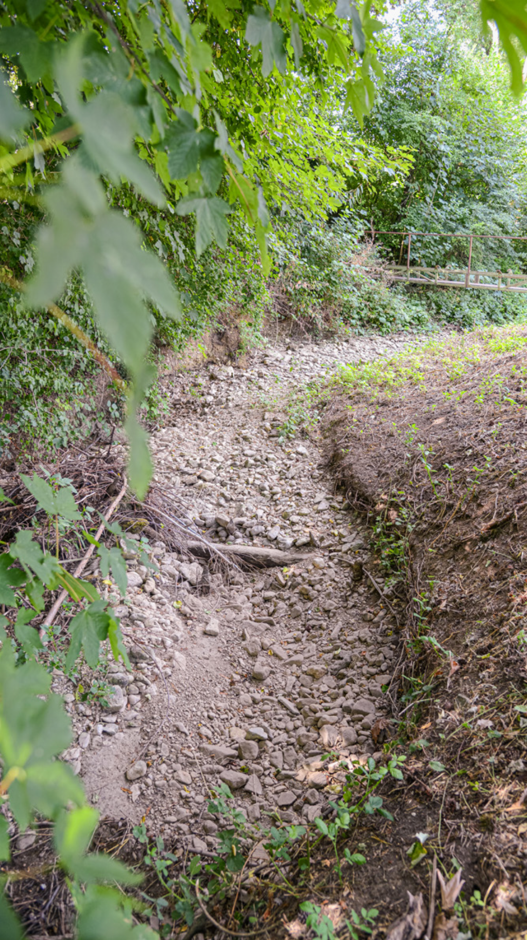 Bennwilerbach im Bereich des Gewerbegebiets. Bennwilerbach im Bereich des Gewerbegebiets.