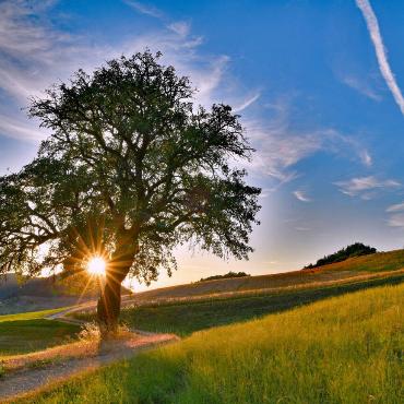 Schön und heiss, doch fast schon ein bisschen zu viel des Guten, findet Franz Schweizer aus Bretzwil, der diese Abendstimmung abgelichtet hat. 