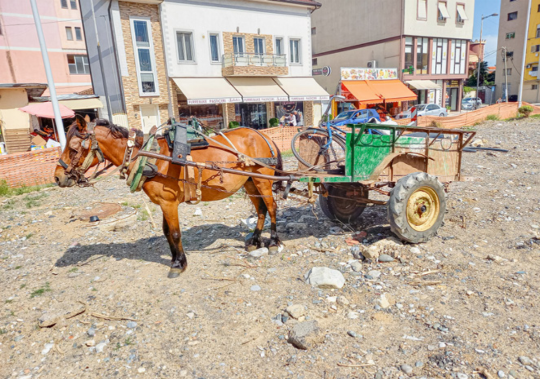 Zwei Seiten Albaniens: In Shkoder sind Pferdefuhrwerke noch immer Teil des Alltags … Zwei Seiten Albaniens: In Shkoder sind Pferdefuhrwerke noch immer Teil des Alltags …