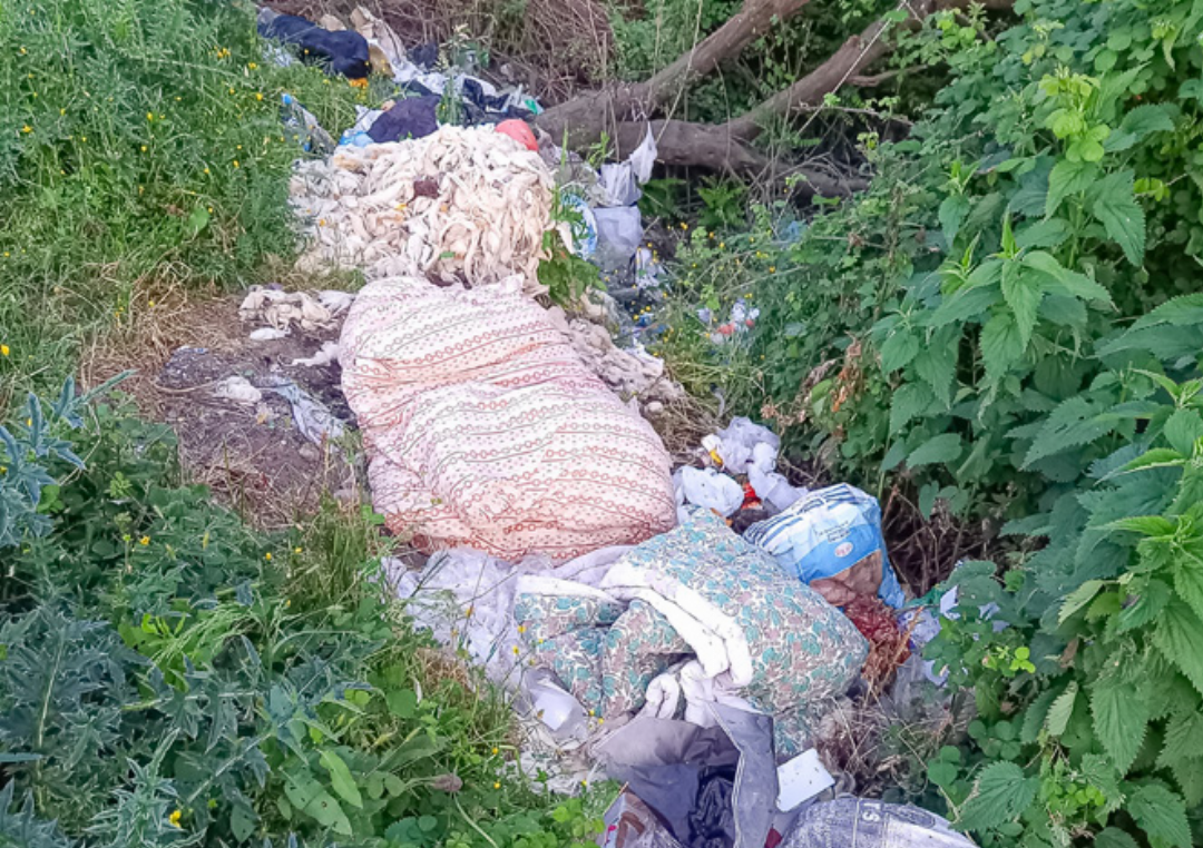Abfall in der Natur gehört zu den Eindrücken, die Besucher aus Albanien heimnehmen. Abfall in der Natur gehört zu den Eindrücken, die Besucher aus Albanien heimnehmen.