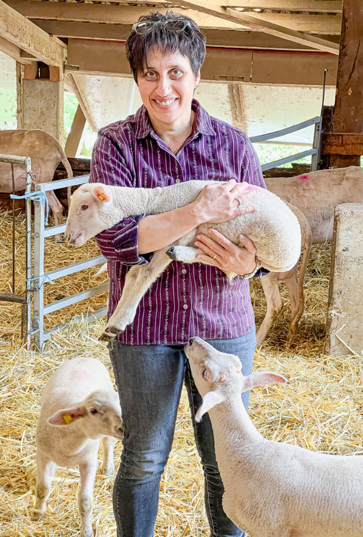 Milchschafe, Lämmer, Kühe, Hühner und Wachteln gehören zum Betrieb von Angelika Itin und ihrem Ehemann. Bilder Marianne Ingold