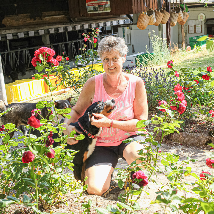 Rosen sind Mariann Herzogs Leidenschaft; die zwei Hofhunde sind auch immer mit dabei. Bild Stefanie Spycher-Gass Rosen sind Mariann Herzogs Leidenschaft; die zwei Hofhunde sind auch immer mit dabei. Bild Stefanie Spycher-Gass