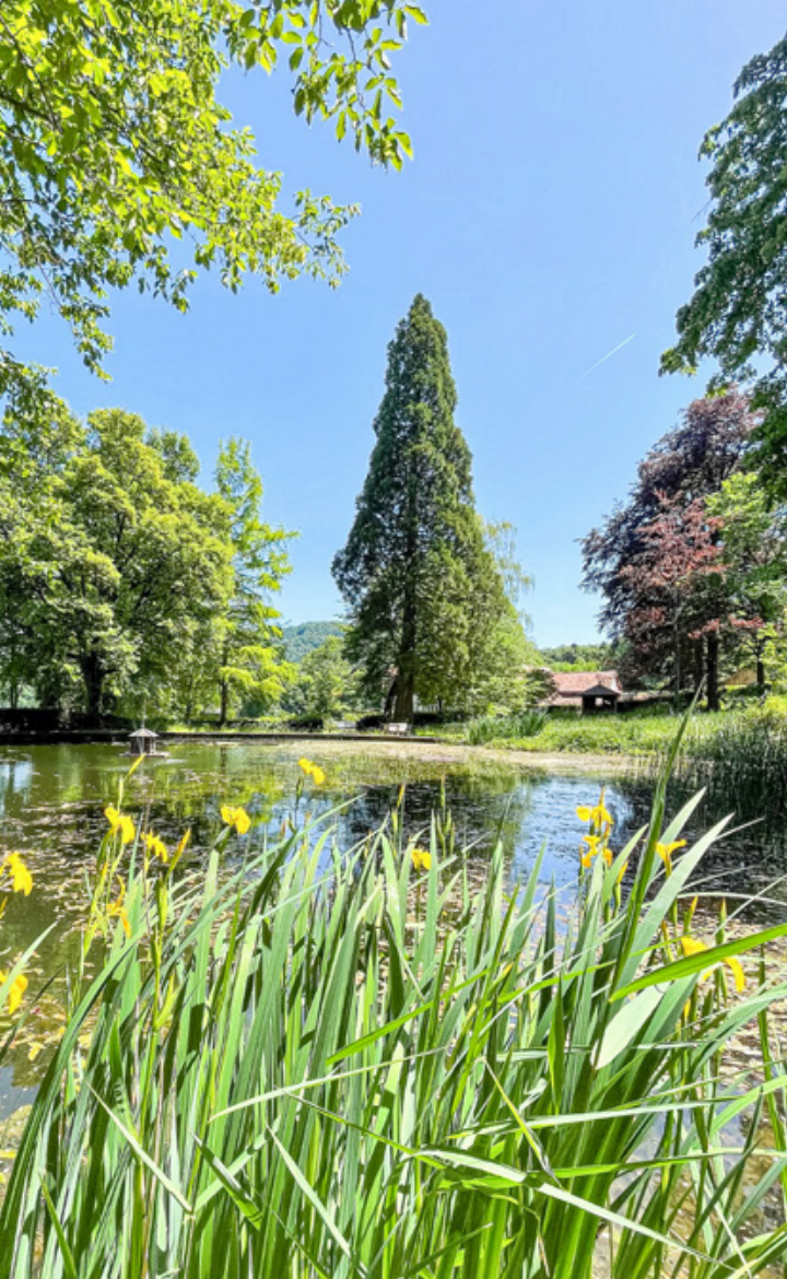 Das Hofgut Mapprach lädt ein, den idyllischen Park zu besuchen. Bild zvg