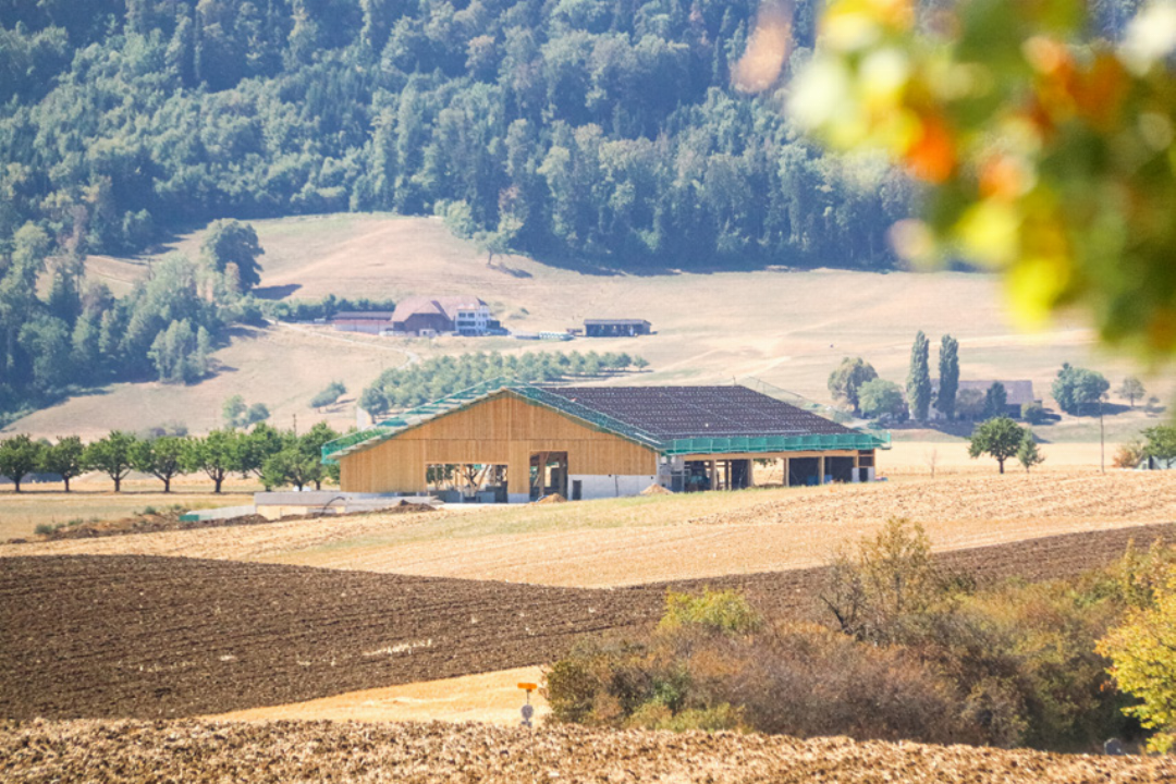 Der neue Stall der Familie Zumbrunn ist topmodern – er verfügt über einen Regentank, eine Biogasanlage und Solarpanels auf dem Dach. Bilder Janis Erne Der neue Stall der Familie Zumbrunn ist topmodern – er verfügt über einen Regentank, eine Biogasanlage und Solarpanels auf dem Dach. Bilder Janis Erne