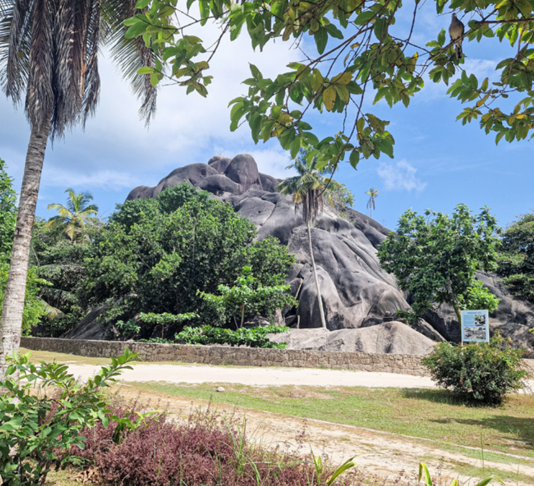 Der riesige Granitmonolith in L’Union Estate ist 200 Millionen Jahre alt und ein Überbleibsel des Urkontinents Gondwana. Der riesige Granitmonolith in L’Union Estate ist 200 Millionen Jahre alt und ein Überbleibsel des Urkontinents Gondwana.