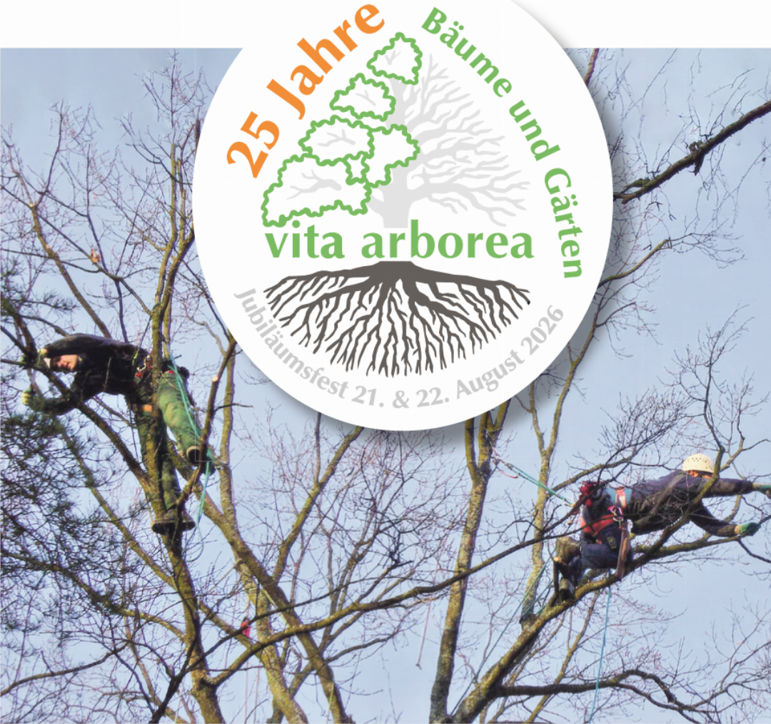 Das Team der vita arborea GmbH verfügt über breite Erfahrung in der professionellen Baumpflege. Bilder zvg Das Team der vita arborea GmbH verfügt über breite Erfahrung in der professionellen Baumpflege. Bilder zvg
