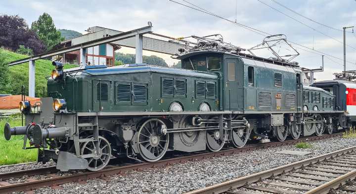 Der Verein Krokodil 14305 kümmert sich um das betagte Reptil. International berühmt wurde die SBB-Veteranin durch eine Sonderfahrt nach Schweden, wo sie 2016 an einem Eisenbahn-Jubiläum teilnahm. Bild zvg / Verein Krokodil 14305