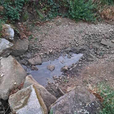So schön: Endlich wieder Regen und ein bisschen Wasser im Gelterkinder Eibach,findet Fritz Häuselmann aus Gelterkinden.