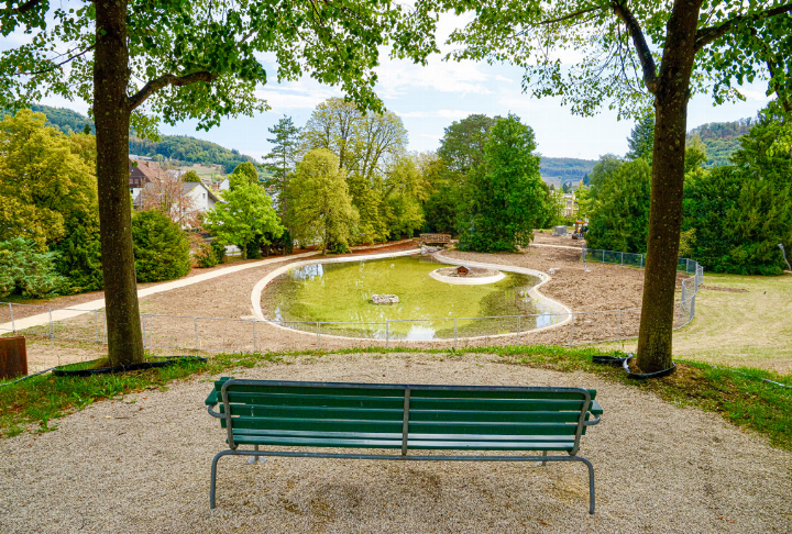 Nach der Weihersanierung kann der Ostteil des Ebenrainparks am Tag des Denkmals mit Denkmalpflegerin Sabine Sommerer erstmals wieder begangen werden.
Bild ch. Nach der Weihersanierung kann der Ostteil des Ebenrainparks am Tag des Denkmals mit Denkmalpflegerin Sabine Sommerer erstmals wieder begangen werden.
Bild ch.