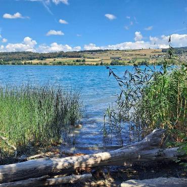 Fritz Häuselmanns idyllischer Ausblick auf den Hallwilersee in Beinwil, beim Wochenende der reformierten Kirche Gelterkinden.