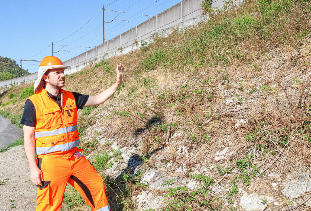 SBB-Oberbauleiter Matthias Pflugi ist beim Bahndamm mit komplexen Rahmenbedingungen konfrontiert. Bild kam. SBB-Oberbauleiter Matthias Pflugi ist beim Bahndamm mit komplexen Rahmenbedingungen konfrontiert. Bild kam.