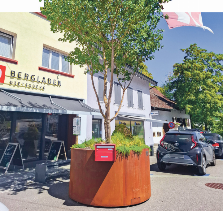 Baumversuch Begegnungszone 2. Standort.
Bild zvg Baumversuch Begegnungszone 2. Standort.
Bild zvg
