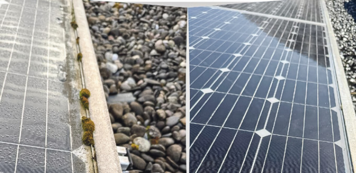 Solarmodule vor und nach der Reinigung durch die Clean-Buddies GmbH.
Bild zvg