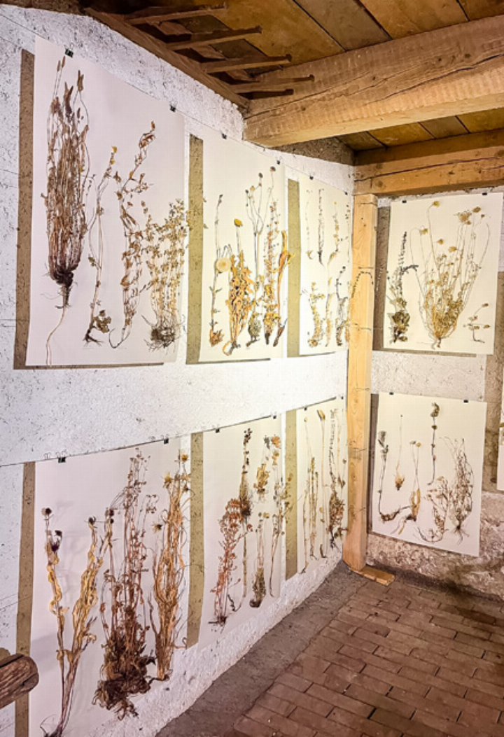 Ein Blick in die Ausstellung. Bild zvg Ein Blick in die Ausstellung. Bild zvg