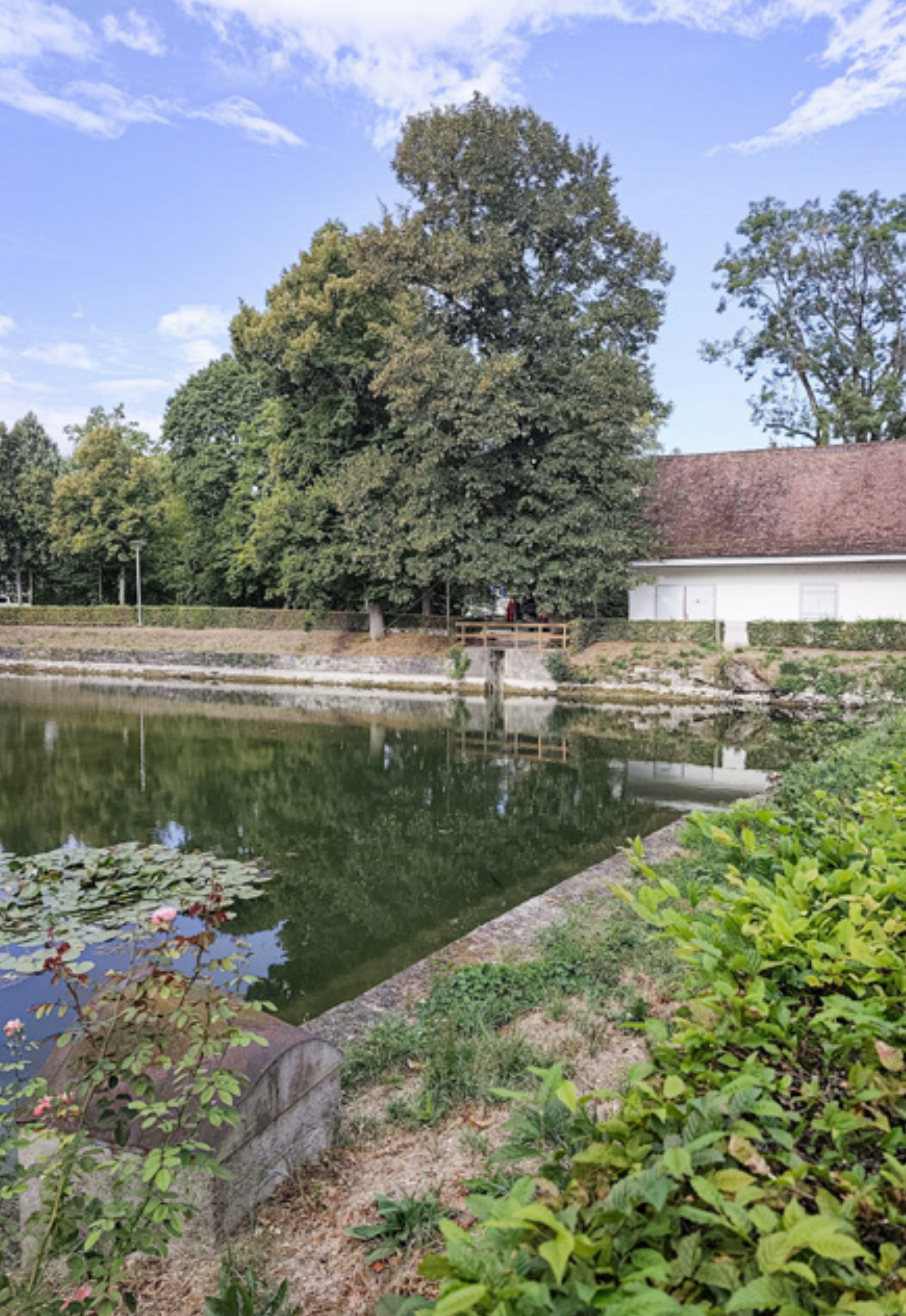 Weihermauer von Schloss wird saniert - Das Bild wird blockiert. – Möglicherweise durch einen aktiven Adblocker.