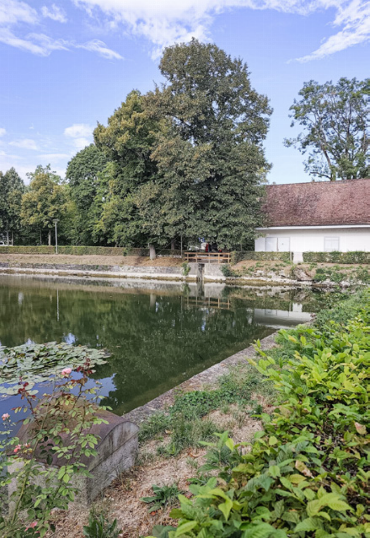 Der Schlossweiher wird bis Mitte November saniert. Bild zvg