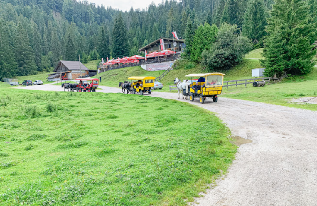 Ausflug ins Grüne: der Kutschentross auf der Wildmoosalm oberhalb von Seefeld. Ausflug ins Grüne: der Kutschentross auf der Wildmoosalm oberhalb von Seefeld.