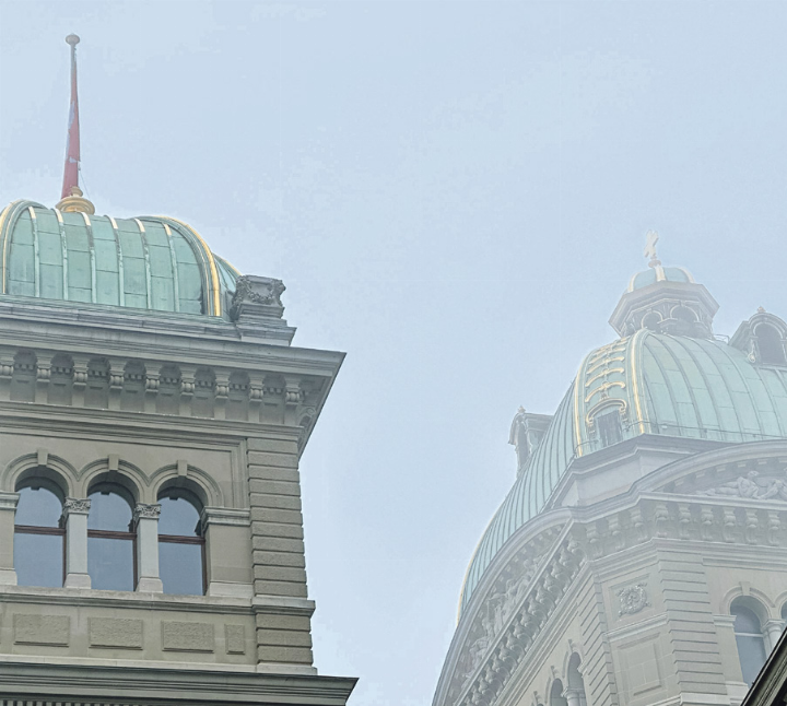 Wie soll die Neutralität verstanden werden? Darüber wird abgestimmt. Bild zvg Wie soll die Neutralität verstanden werden? Darüber wird abgestimmt. Bild zvg