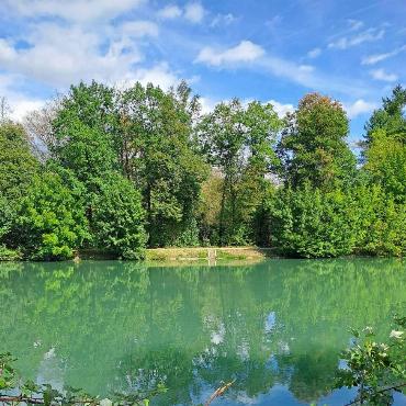 Der Gelterkinder Fritz Häuselmann fängt diesen sonnigen Ausblick auf die Aare während seines Sonntagspaziergangs in Vinznau ein.