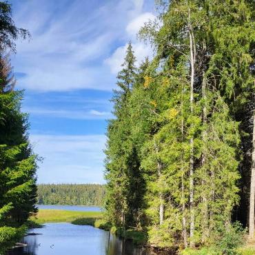 Den Windgfällweiher im Naturschutzgebiet im Schwarzwald hat Monika Fischer aus Wintersingen fotografiert.