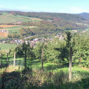 Diesen idyllischen Ausblick aus der Waldhütte hält die Kamera von Ruth Meier aus Diegten fest. 