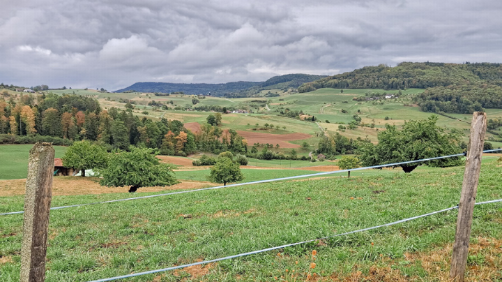 Blick vom Stellihof der Familie Rudin in Richtung Hemmiken. Ormalingen liegt rechts davon, ist auf dem Bild jedoch nicht zu sehen. Bild Janis Erne Blick vom Stellihof der Familie Rudin in Richtung Hemmiken. Ormalingen liegt rechts davon, ist auf dem Bild jedoch nicht zu sehen. Bild Janis Erne