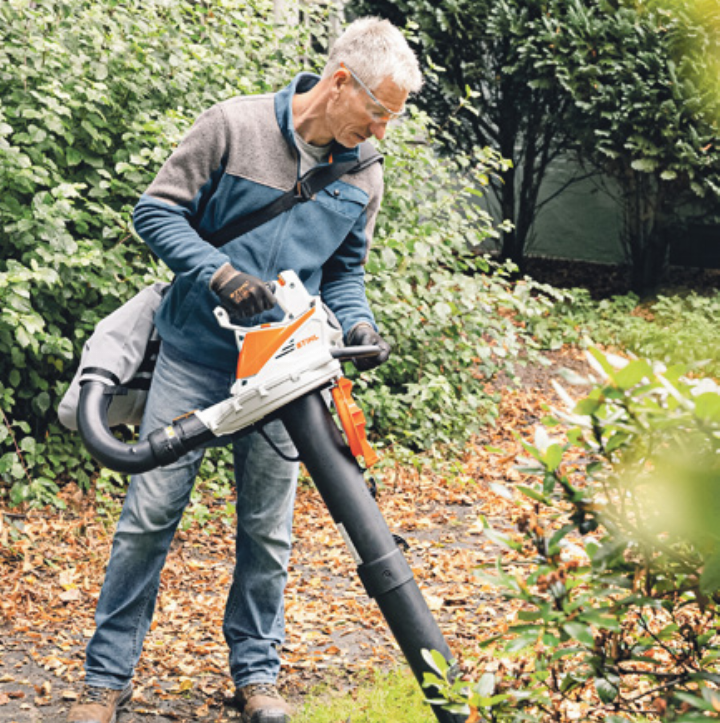 Der Herbst kommt bestimmt – und mit ihm das Laub.      Bild zvg
