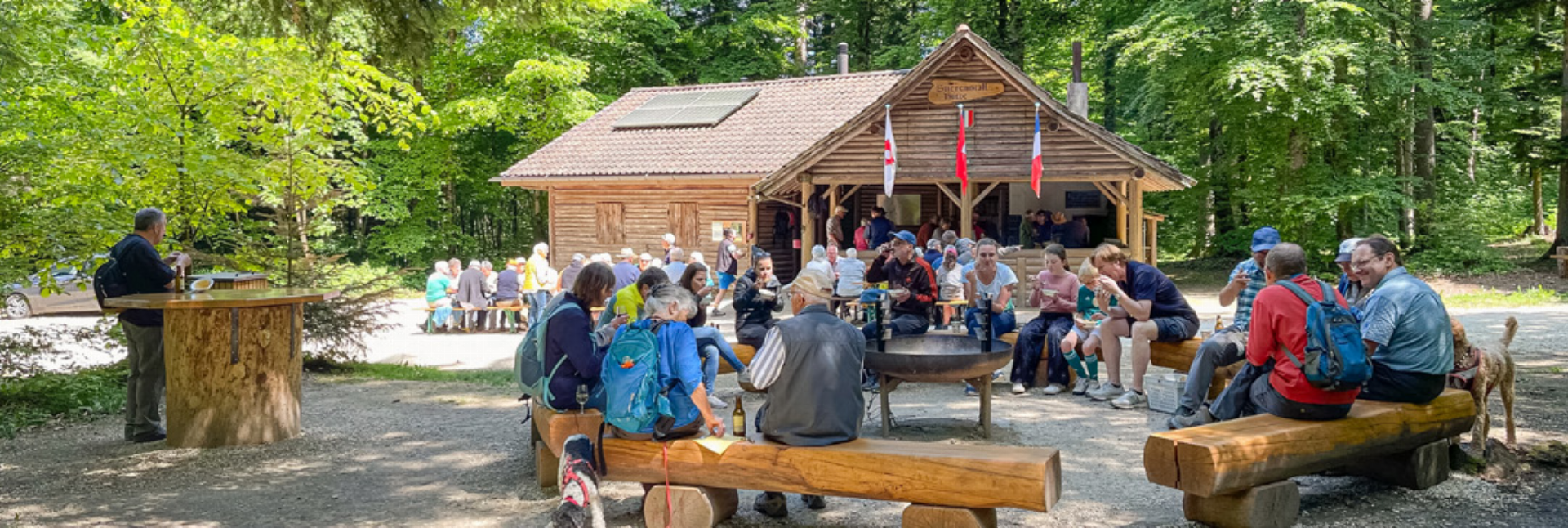 Aus dem Wald auf den Tisch - Das Bild wird blockiert. – Möglicherweise durch einen aktiven Adblocker.