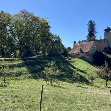 Auf einer Wanderung durch die Eremitage in Arlesheim fotografiert Ivo Schädler aus Läufelfingen diesen herrlichen Ausblick auf die Burg Birseck.