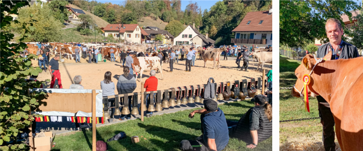 Die Viehschau war gut besucht; Landwirt Gottfried Amport aus zeigt seine prämierte Kuh.
Bilder fra.