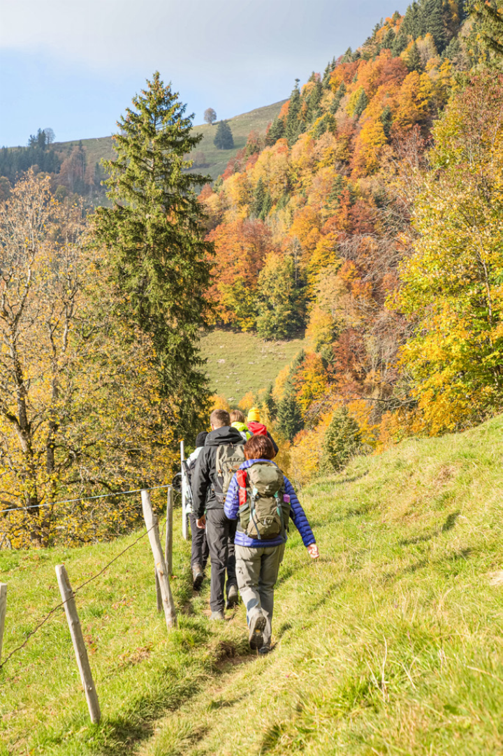 Wandern als Ventil ist laut Wanderleiterin Lara Mandioni wichtig für die Psyche.
Bilder zvg Wandern als Ventil ist laut Wanderleiterin Lara Mandioni wichtig für die Psyche.
Bilder zvg