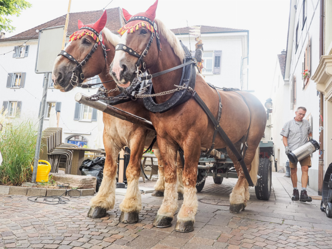 Der Kutscher lädt die Bierfässer ab. Der Kutscher lädt die Bierfässer ab.