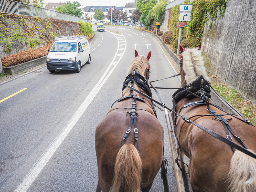 Die Pferde sind gut trainiert für den Verkehr in der Innenstadt. Die Pferde sind gut trainiert für den Verkehr in der Innenstadt.