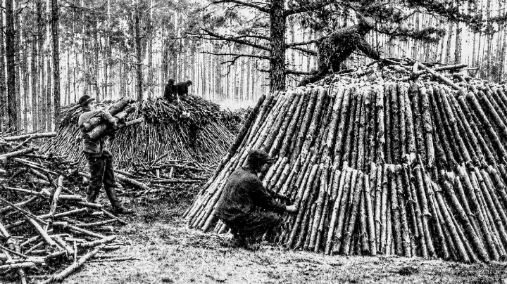 Köhler beim Aufbau zweier Meiler im Wald.
Bild ArchivHanspeter Gautschin Köhler beim Aufbau zweier Meiler im Wald.
Bild ArchivHanspeter Gautschin
