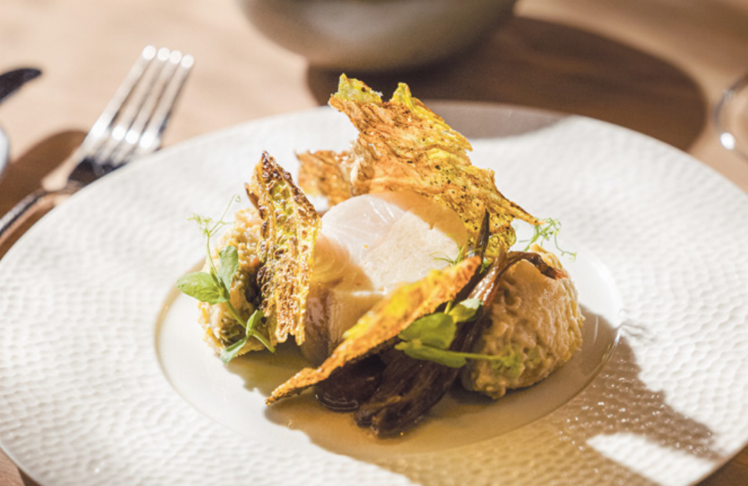 Eine der zahlreichen kulinarischen Köstlichkeiten: Zanderroulade mit Wirsingchips. Eine der zahlreichen kulinarischen Köstlichkeiten: Zanderroulade mit Wirsingchips.