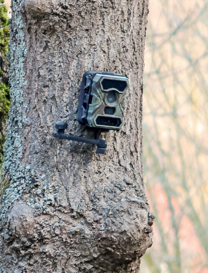 Wildkameras im Wald dürfen nicht ohne Weiteres platziert werden. Bild zvg Wildkameras im Wald dürfen nicht ohne Weiteres platziert werden. Bild zvg