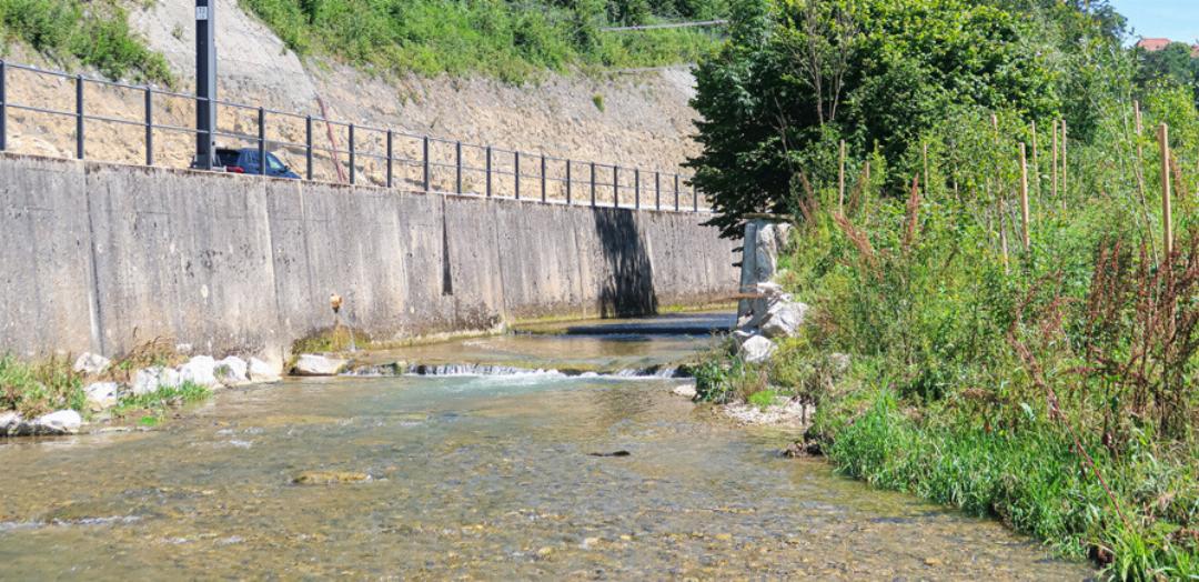Aufholbedarf bei Revitalisierung von Bächen