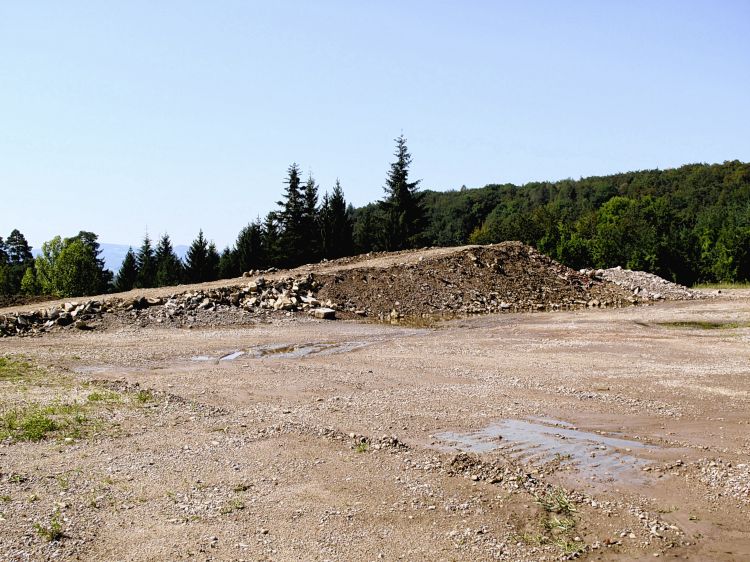 Waldhütte Langenboden in Sissach bleibt erhalten - Das Bild wird blockiert. – Möglicherweise durch einen aktiven Adblocker.