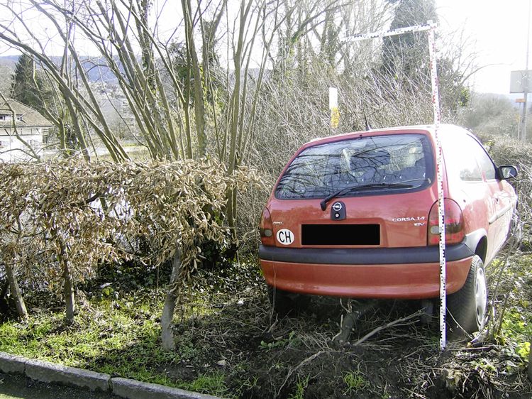 Auto landet im Gebüsch - Das Bild wird blockiert. – Möglicherweise durch einen aktiven Adblocker.