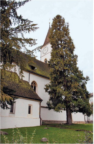 Reformierte Kirche Baselland sucht nach Stärken und Schwächen - Das Bild wird blockiert. – Möglicherweise durch einen aktiven Adblocker.