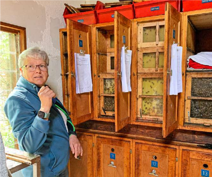 Honigschlecken bei der Imkerin