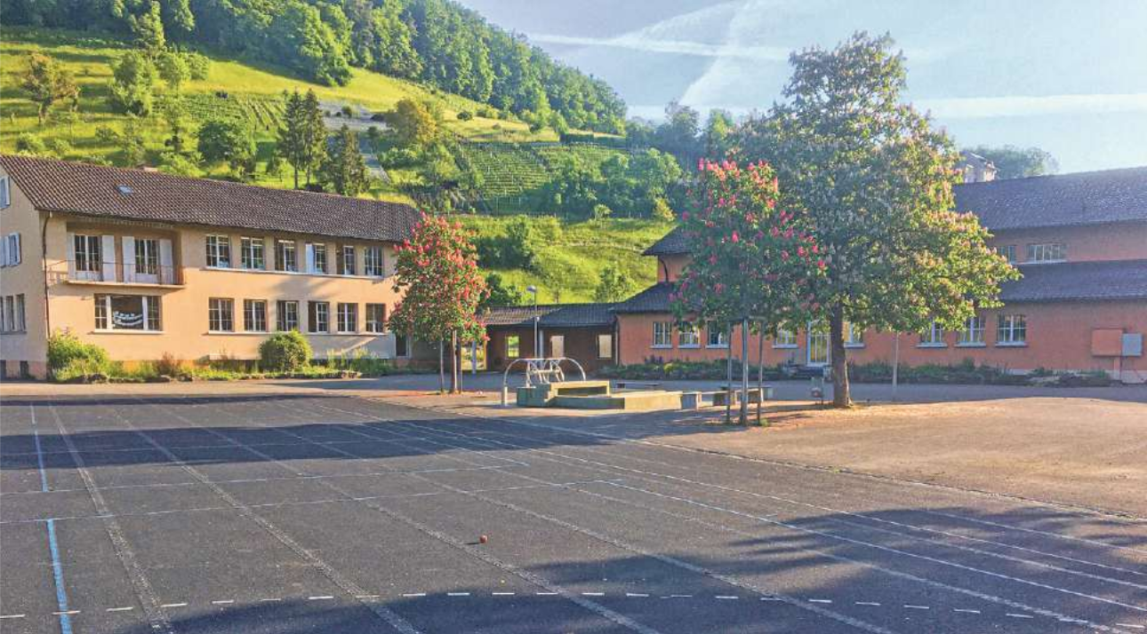 Mehr Steuern, höherer Gewinn