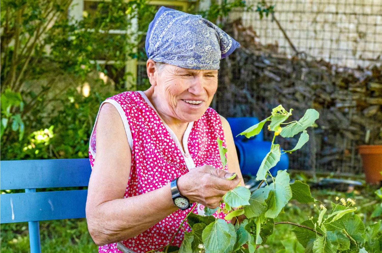 Nimm einfach Lindenblüten