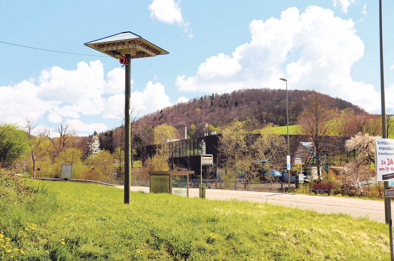 Neuer Standort – neuer Versuch