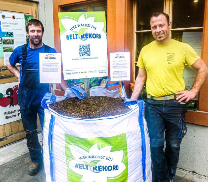 Ein Weltrekord in Knollenform