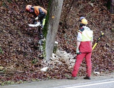 Holzschläge für sichere Strassen - Das Bild wird blockiert. – Möglicherweise durch einen aktiven Adblocker.