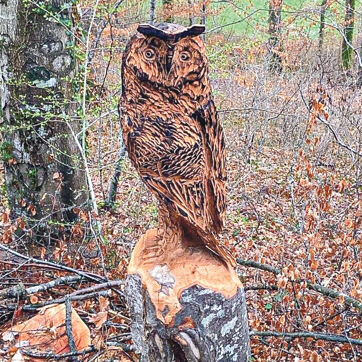 Diese Holzeule in Itingen hat Einwohner Walter Sprenger geknipst.